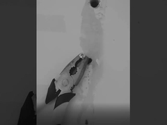 siliconedichtingsproduct